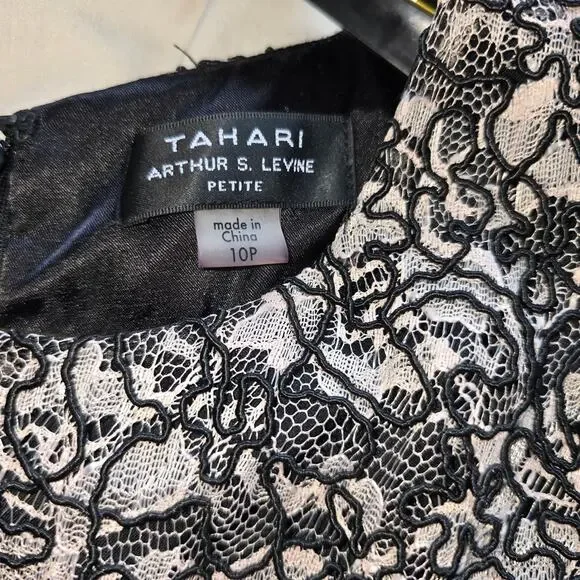 Tahari L32016 Women's Black Lace Zipper Stripe Fit Flare Cocktail Dress Size 10P - Picture 3 of 10